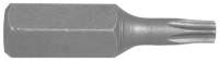 5/16 TX-Bit T30 mit Bohrung